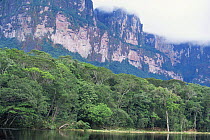 Anyan Tepui from Carrao river, Canaima National Park, Venezuela