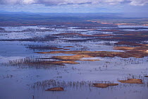 Aerial view of floodplain near Canaima National Park, Venezuela