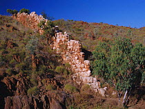 Quartz vein rising 6m above ground level, China walls, Halls creek, W Australia Kimberley