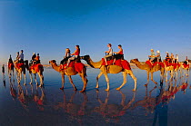 Tourists on camel ride Cable beach, Broome,  Western Australia