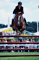 Horse and rider show jumping in competition at New-Forest Show, Hampshire, UK 2002
