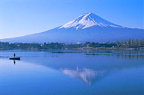 Mount Fuji reflected in lake Kawaguchi Ko, Japan