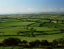 View across fields north from Brent knoll towards Bristol channel, Somerset, UK.