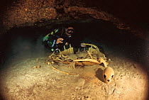 Diver investigates Green turtle skeleton in cave {Chelonia mydas} Sipadan, Malaysia, Indo Pacific ocean