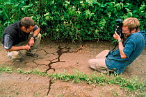 Dale Morris and Ralph Bower watch and film a column of African driver / Siafu (Safari} ants {Dorylus / Anomma species} crossing road. Tanzania, East Africa. 2002