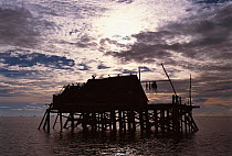 Stilt house at sunset Arenas, Cagayancillo, Philippines