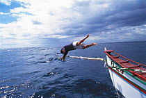 Whale shark hunter dives into sea with fish hook that he will drive into back of Whale shark. Pamilacan, Bohol, Philippines. 1997