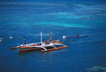 Whale shark towed back to land while still alive. Pamilacan, Bohol, Philippines. 1997