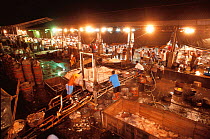 Fish arriving at market, Navotas, Manila, Philippines.