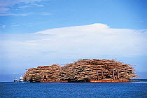 Tropical timber carried by barges at sea. Philippines.