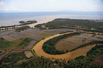 Sediments washed out to sea as result of deforestation and erosion. Philippines.
