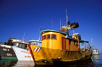 Longline fishing boats in harbour, Punta Arenas, Costa Rica Costa Rica, Pacific Ocean,