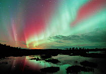 Aurora borealis colours in night sky reflected in lake, northern Finland, Autumn. 2002