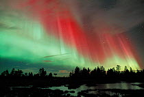 Aurora borealis colours in night sky, northern Finland, Autumn 2002