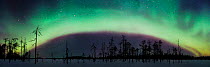 Aurora borealis bow indicating approaching borealis storm. Northern Finland, winter 2002