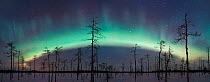 Aurora borealis bow prior to storm. Northern Finland, winter 2002