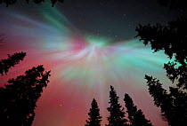 Aurora borealis corona in night sky, northern Finland,  2002