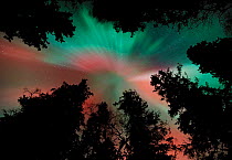 Aurora borealis colours in night sky, northern Finland, winter 2002