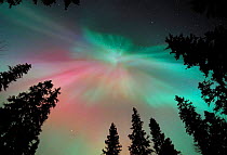 Aurora borealis colours in night sky showing corona, northern Finland, winter 2002
