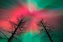 Aurora borealis colours in night sky, northern Finland, September 2001. Red corona at beginning of storm