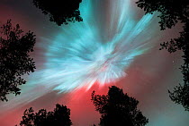 Aurora borealis storm showing blue corona in night sky, northern Finland.