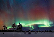 Aurora borealis colours in night sky, northern Finland, January, winter
