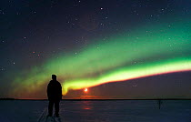 Person watching Aurora borealis colours in night sky, northern Finland, winter