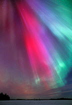 Aurora borealis colours in night sky, northern Finland, winter