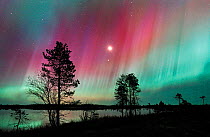 Aurora borealis colours in night sky over lake, northern Finland, October 2002