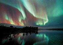 Aurora borealis colours in night sky over lake, northern Finland (nr Arctic circle), October 2002. Auroras also occur in the southern hemisphere where they are know as Aurora australis.