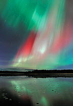 Aurora borealis colours in night sky over lake, northern Finland