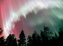 Aurora borealis rays during corona in night sky, northern Finland