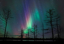 Aurora borealis rays in night sky, northern Finland, Autumn