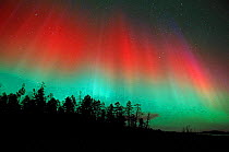 Red and green aurora borealis colours in night sky, northern Finland, winter