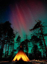 Aurora borealis colours in night sky above camp tent, Lapland, northern Finland, winter