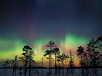 Aurora borealis colours in night sky, northern Finland, March