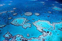 Aerial view of Hardy Reef, Great Barrier Reef and sea, Queensland, Australia