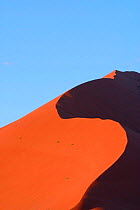 Abstract view of towering sand dune, Namib desert, Sossusvlei, Namibia