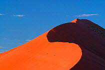 Abstract view of towering sand dune, Namib Desert, Sossusvlei, Namibia