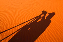 Shadow of photographer and camera on sand dune, Namib Desert, Namibia