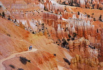 Tourists hiking down path viewing Hoodoos, Bryce Canyon NP, Utah, USA. Sandstone erosion