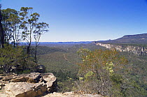 View from Bulimba Bluff across Consuelo Tableland, Carnarvon Gorge NP, Queensland, Australia
