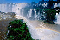 RF- Iguazu falls Brazil / Argentina border. Iguassu, South America. (This image may be licensed either as rights managed or royalty free.)