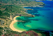 Aerial view of Cavalleria beach + coastline, Minorca,  Balearic Is, Spain