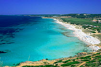 Son bou beach, Minorca,  Balearic Is, Spain