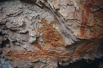 Aboriginal rock paintings, Rainbow serpent, Kakadu NP, Northern Territory, Australia