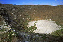 Crater of Daphne Major island with massive colony of Boobies nesting, Galapagos Islands