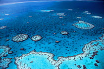 Aerial view of Hardy Reef, Great Barrier Reef, Queensland Australia