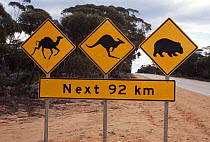 Sign warning motorists of animals on the road, Eyre Highway S. Australia. Camel