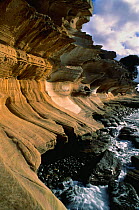 Painted cliffs, Triassic sandstone 210-250myo, Maria Island, Tasmania, Australia